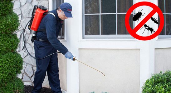 Keban Bit İlaçlama böcek ilaçlama ve haşere kontrolü — ilaclama-tr.com